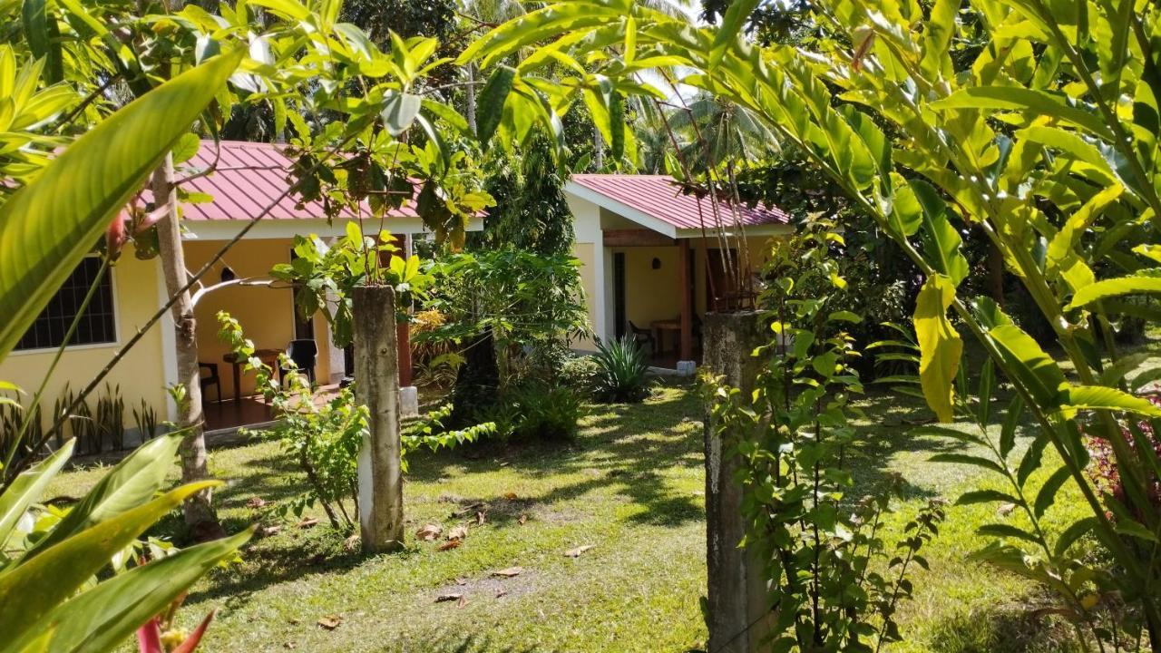 Acacia'S Cottages With Starlink Wifi Mambajao Kültér fotó
