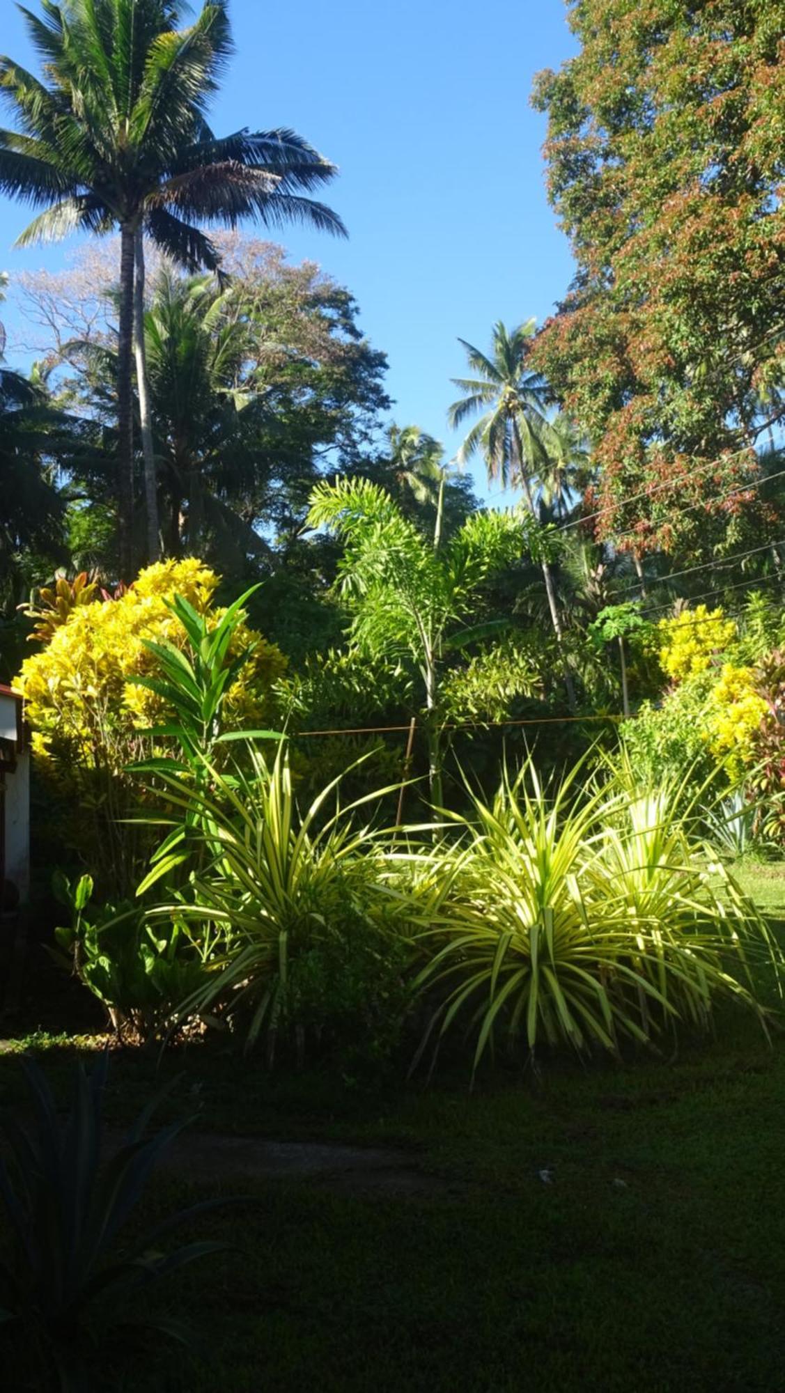 Acacia'S Cottages With Starlink Wifi Mambajao Kültér fotó