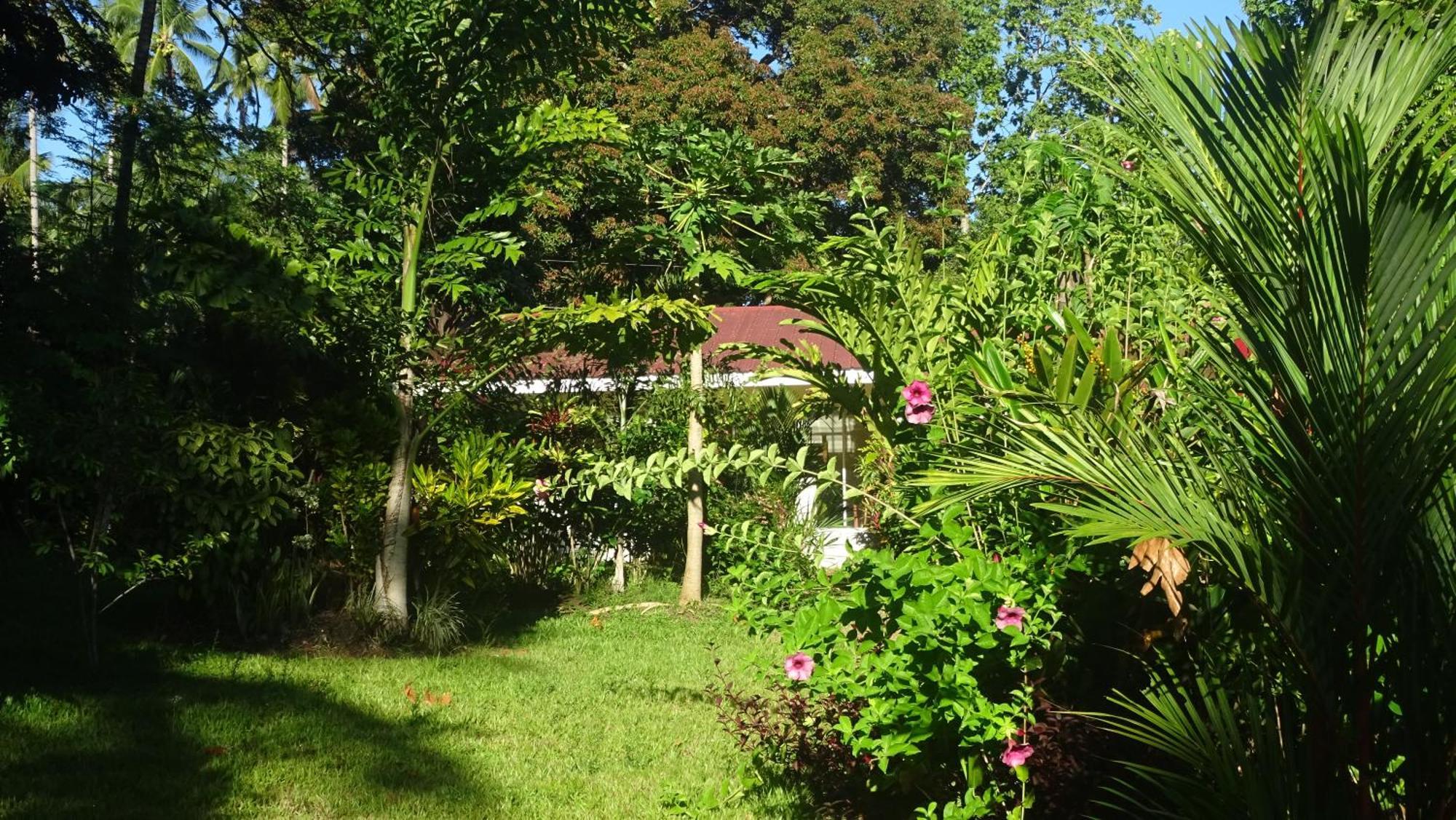 Acacia'S Cottages With Starlink Wifi Mambajao Kültér fotó